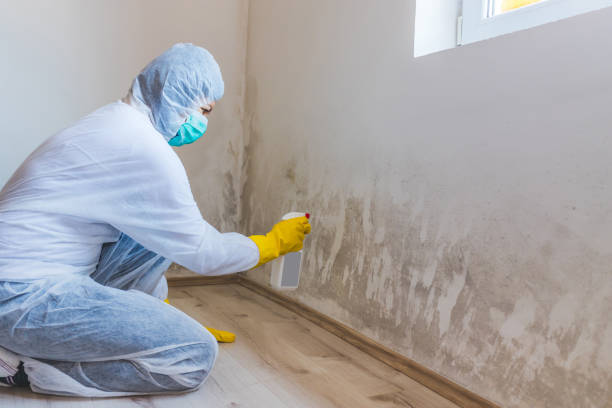 Licensed Mold Inspection service in Canton, TX - WQB Mold Removal