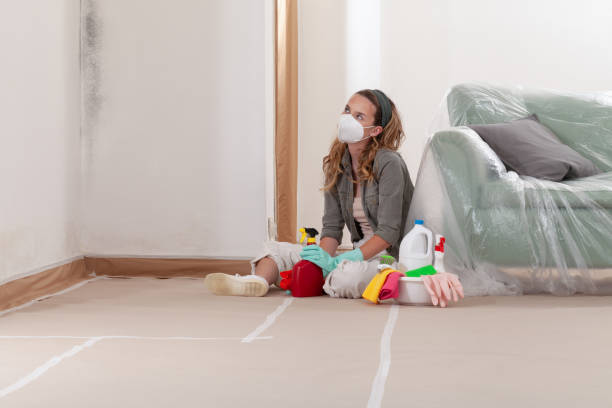 Reliable Mold Inspection contractor in Canton, TX by WQB Mold Removal